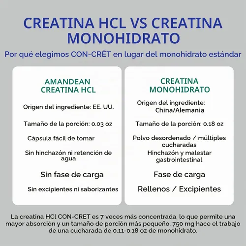 Vista 6 de AMANDEAN Creatina HCl + colágeno + cápsulas MSM, CON-CRET y OptiMSM, 90