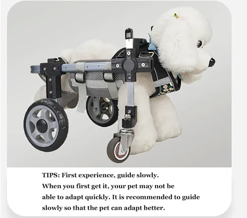 Vista 6 de Silla de ruedas para perros para patas traseras de 2/4 ruedas, patas traseras ajustables para mascotas, carritos para perros con ruedas, ayuda