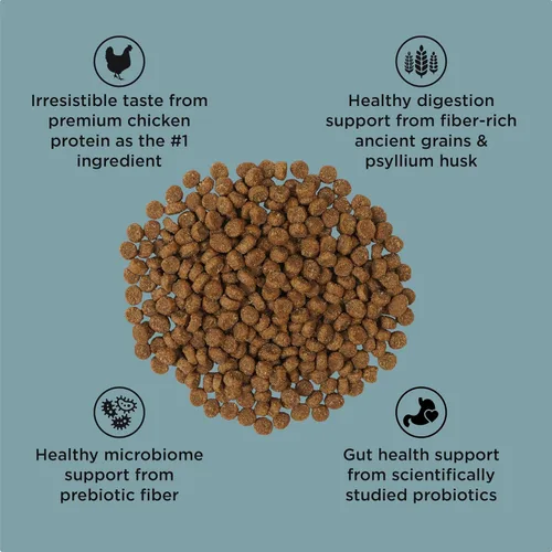 Vista 4 de Go! Solutions Digestión + salud intestinal, comida seca para gatos, receta de pollo con granos antiguos, bolsa de 3 libras Fiber-Rich Kibble for
