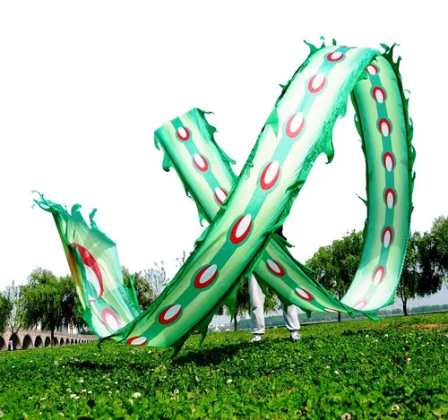 Vista 12 de Juego de Cintas de Dragón 3D Realistas para Ejercicio, Baile al Aire Libre, Lanzamiento de Fitness, Estilo Cuadrado POI Wu Long (5.97m, Fénix Azul)
