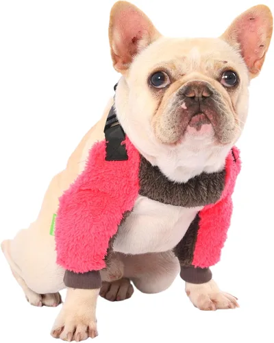 Vista 28 de PetWarm Mangas para patas delanteras para perros, impermeable, protector