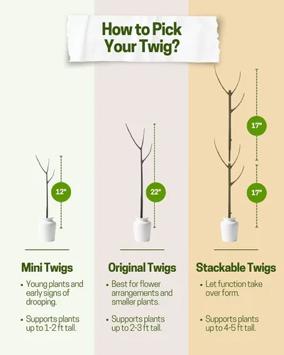Vista 5 de Twigs GA - Estacas de soporte para plantas para uso en interiores y exteriores, alternativa duradera de enrejado para plantas trepadoras
