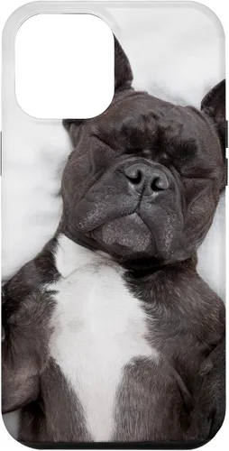 Vista 26 de Carcasa gráfica de Bulldog Francés para iPhone 17