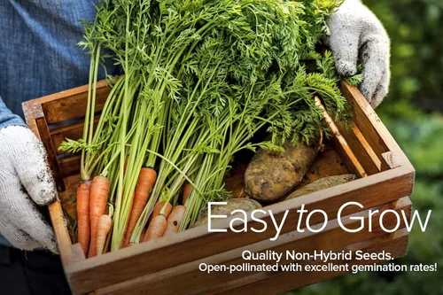 Vista 4 de Gardeners Basics Semillas de hortalizas de invierno, otoño y primavera para plantar Cultivos de clima fresco 8 variedades: guisantes de azúcar