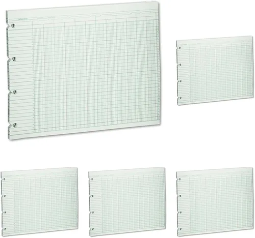 Vista 4 de Wilson Jones Hojas de contabilidad, seis columnas, 9-1/4 x 11-7/8, verde, paquete de 100 hojas sueltas (WLJG106)
