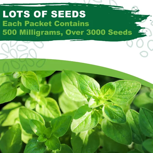 Vista 5 de TKE Farms & Gardens - Semillas de orégano para plantar, más de 3000 semillas de reliquia sin OMG, 500 mg, hierba perenne polinizada abierta