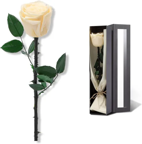Vista 11 de Flores para Entrega Prime, Rosas Preservadas Regalos de Flores para Mujeres, Rosas Reales Regalos de Rosa Individual para Ella, Regalos