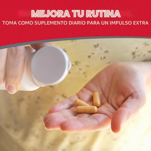 Vista 5 de Dairyland Ginseng - Cápsulas de Notoginseng - 75 unidades - Cápsulas del complejo Tienchi Ginseng - Auténtica cápsula de Notoginseng - Cápsulas