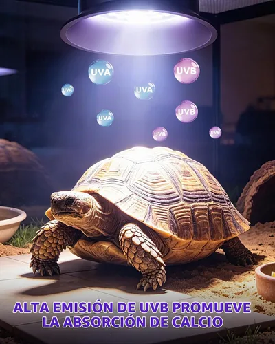 Vista 3 de Luz UVA UVB para reptiles, lámpara LED de reptiles con temporizador y Negro