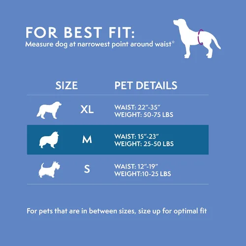 Vista 4 de Simple Solution Pañal lavable para perro hembra, mediano, 1 paquete Dog in Heat, Potty Training, Incontinence Support, Leak Protection, Reusable