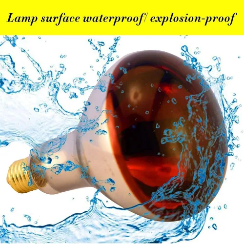 Vista 2 de Bombilla de calor R40 de 250 W, paquete de 2 bombillas de vidrio infrarrojo pintado para servicio de alimentos, bombilla de criador, pollitos