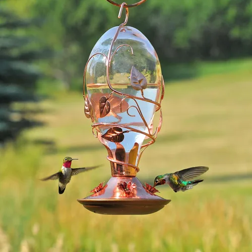 Vista 11 de Perky-Pet 8110H-1 - Comedero de cristal para colibríes para exteriores, capacidad de néctar de 32 onzas