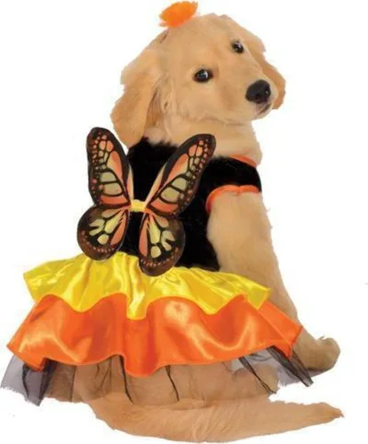 Vista 6 de Rubies Disfraz de mariposa monarca para mascotas para perros o gatos, pequeño