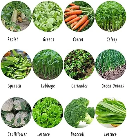 Vista 5 de Sembradora de precisión sembradora de hilera, esparcidores de jardín, plantas de cáñamo, rábano de col perejil, etc. para jardines pequeños