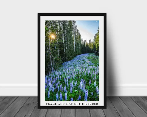 Vista 3 de Impresión de fotografía de las Montañas Rocosas (no enmarcado) Imagen vertical de altramuz morado en bosque de pinos en Montana Wildflower Wall Art