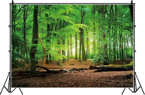 Vista 4 de Telón de fondo de bosque pacífico de 5 x 3 pies para fotografía, árboles verdes, fondo de sol para camping, suburbios, picnic, fiesta, decoración