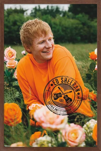 Vista 10 de Trends International Ed Sheeran - Póster de pared de campo de rosas, 22.37 x 34.00 pulgadas, versión enmarcada de madera de granero