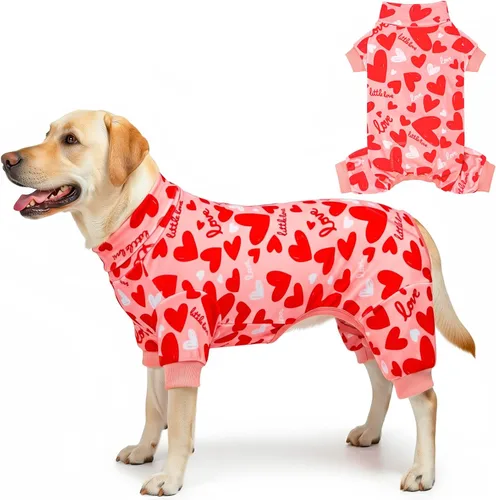 Vista 21 de KYEESE - Pijama de terciopelo para perros pequeños para uso diario, ardilla
