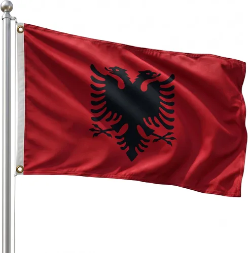 Vista 150 de DMSE - Bandera nacional beninesa beninesa de la República de África Occidental, 2 x 3 pies, 100 % poliéster, 100 % poliéster, resistente a los rayos