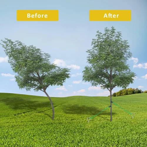 Vista 6 de Kit de estaca para árboles, estacas de árbol en espiral resistentes para árboles inclinados, solución enderezadora para árboles jóvenes en mal tiempo