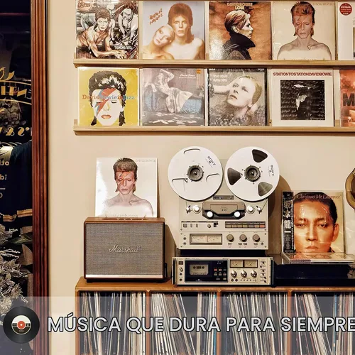 Vista 7 de 20 fundas exteriores transparentes de 12 pulgadas para discos de vinilo individuales y dobles 3.2Mil thick, acid-free, Protects LP covers from