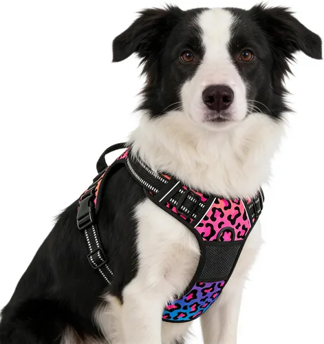 Vista 18 de Rnivvi Arnés para perro sin tirones, bonito arnés reflectante de tamaño extra pequeño, chaleco acolchado suave ajustable para perros pequeños