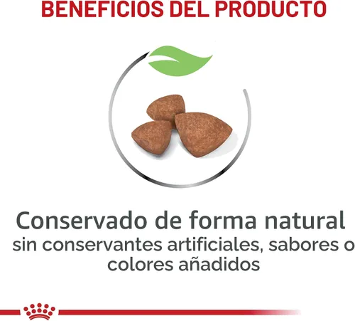 Vista 3 de De Royal Canin, Size Health Nutrition, comida seca para cachorros extra pequeños, comida para perros Specialized Nutrition for Extra Small Breeds