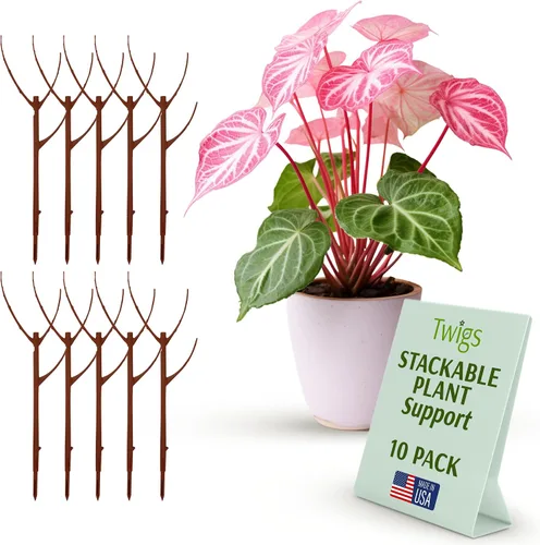 Vista 18 de Estacas de soporte para plantas para uso en interiores y exteriores, alternativa duradera de enrejado para plantas trepadoras y en maceta