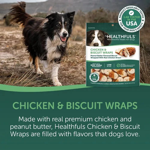 Vista 3 de HEALTHFULS Galletas para perros con sabor a pollo y mantequilla de maní, 16 onzas, (paquete de 2)