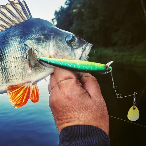 Vista 6 de Sumind Cuchillas giratorias de pesca Spinner Bait Cucharas lisas Plataformas Cucharas de pesca Cuchillas Señuelos Accesorios