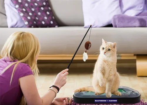 Vista 2 de Pets First NFL BALTIMORE RAVENS Rascador de Campo de Fútbol para Gatos con Juguete de Peluche de FÚTBOL Relleno de Hierba Gatera y Juguete Colgante