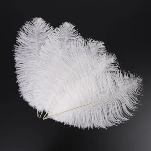 Vista 13 de Shekyeon - Plumas de avestruz (20 unidades, 7.9-9.8 in, 20 unidades)
