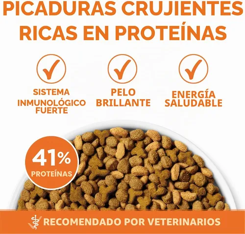 Vista 6 de Purina ONE Alto Contenido de Proteínas, Peso Saludable Más Peso Ideal Con Pollo Comida Seca Para Gatos - Bolsa de 3.5 lb