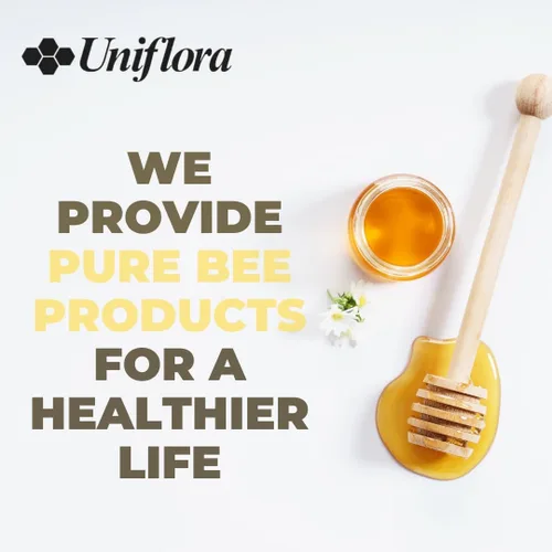 Vista 3 de Uniflora Propóleos de abeja verde brasileña – 60 Brix – Extracto líquido sin alcohol – Botellas de 1.0 fl oz (paquete de 6)