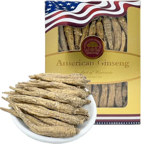 Vista 6 de DOL Raíz de ginseng cultivada a mano de Wisconsin americano, mediana y grande, ginseng americano cultivado de Wisconsin (grande, 16 onzas en caja)