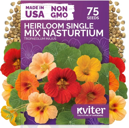 Vista 66 de 500 Ball's Orange Calendula Heirloom Flower Seeds, Calendula Officinalis
