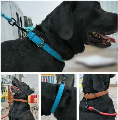Vista 4 de Collares acolchados de piel de lujo para gatos cachorros pequeños y medianos perros negros