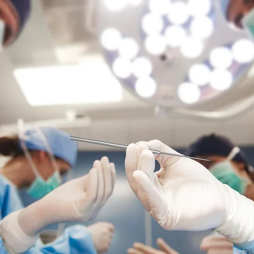 Vista 5 de iplusmile Aguja de disección micro recta de acero inoxidable, 14 piezas, herramienta de aguja de disección de precisión de laboratorio para equipos