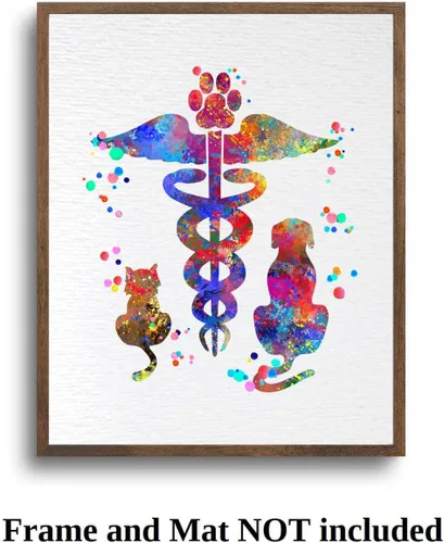Vista 7 de Dignovel Studios 8X10 sin marco caduceo veterinario Clínica animal mascota acuarela arte impresión cartel inauguración casa giclée oficina