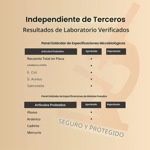 Vista 6 de NatureBell Pregnenolone 100 mg, 240 cápsulas 99% de pureza, grado micronizado para una mayor absorción, a base de plantas, precursor natural