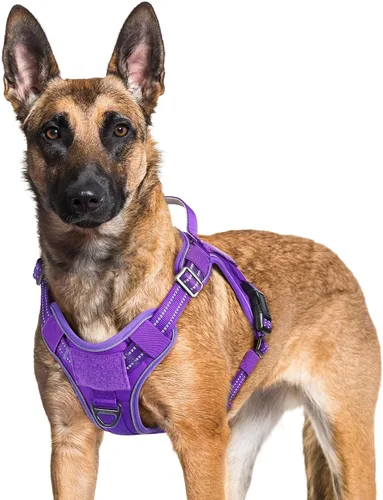 Vista 22 de rabbitgoo - Arnés para perros pequeño sin tirones, chaleco táctico de servicio con Molle y asa de control, arnés militar ajustable y reflectante