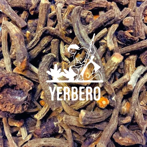 Vista 2 de Yerbero - Raíz de Osha 3.5 oz (100 g) Raiz de Chuchupate Ligusticum porteri Zanahoria de montaña, raíz de oso 100% natural Purificación