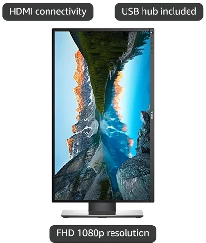 Vista 2 de Pantalla Dell Professional P2017H, monitor, LED, de 19.5 pulgadas.