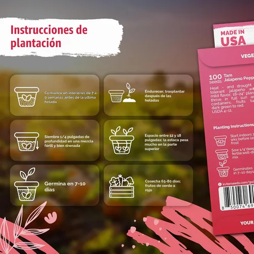 Vista 3 de 100 semillas vegetales tradicionales de pimienta jalapeña Tam, Capsicum Annuum