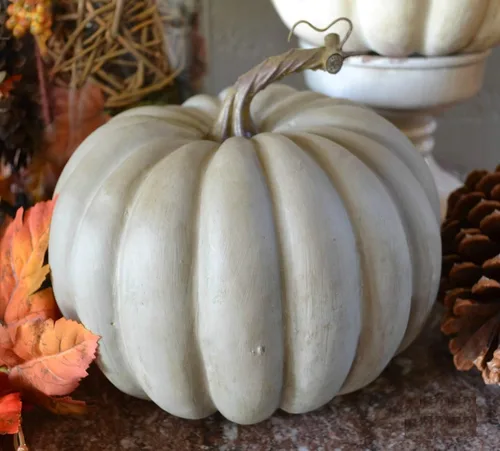 Vista 3 de Semillas Calabaza Queensland Blue Giant Halloween Rare Non-GMO Vegetal para plantar