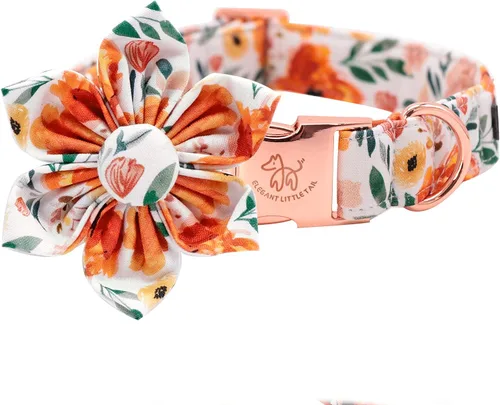 Vista 19 de Collar para perro Elegant little tail de otoño, collares para mascotas de Halloween con flor, lindo estampado de calabaza, collar para cachorro B