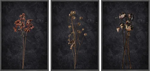 Vista 97 de Ashbrook Set de Arte de Pared en Lienzo Enmarcado, Naturaleza, Horizonte de Playa Nebulosa, Ilustraciones de Área Silvestre, Bellas Artes, Paisaje