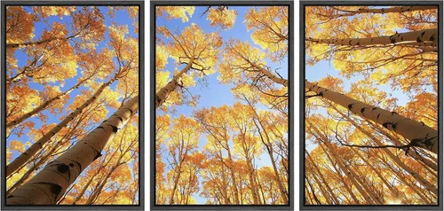 Vista 97 de wall26 Lienzo enmarcado para pared, juego de arte de fila de palmeras de California y cielo azul, naturaleza, vida silvestre, fotografía, realismo