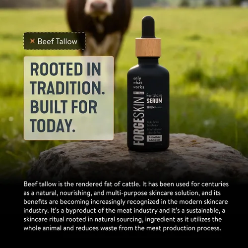 Vista 9 de FORGE SKIN Night Beef Tallow Serum para hombres [a base de tallow] - Esencia facial para arrugas faciales con aceites esenciales - Té verde natural