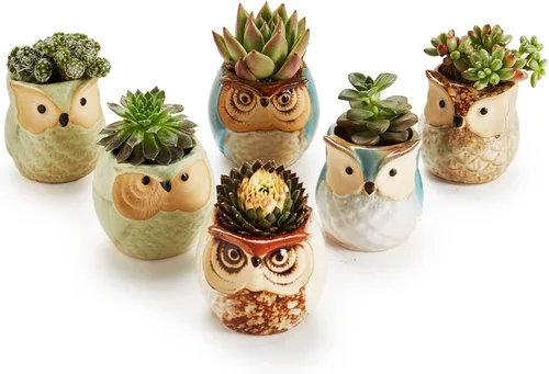 Vista 5 de Maceta de cerámica con base de esmalte que fluye en serie, juego de plantas suculentas, maceta de cactus, maceta con agujero de drenaje, escritorio